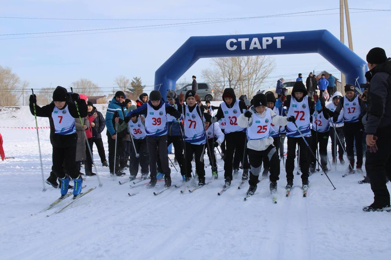сурет автордан